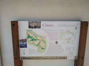 Photo n°16 de Auberge du Palmier à Cinais ()