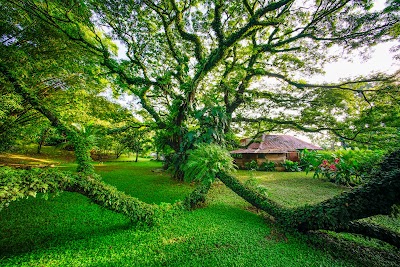 Photos of Ecovital Costa Rica Lodge