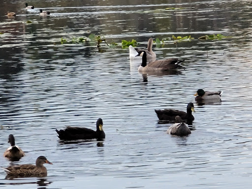 Park «Ferguson Park», reviews and photos, 1330 Ferguson Park Rd, Snohomish, WA 98290, USA