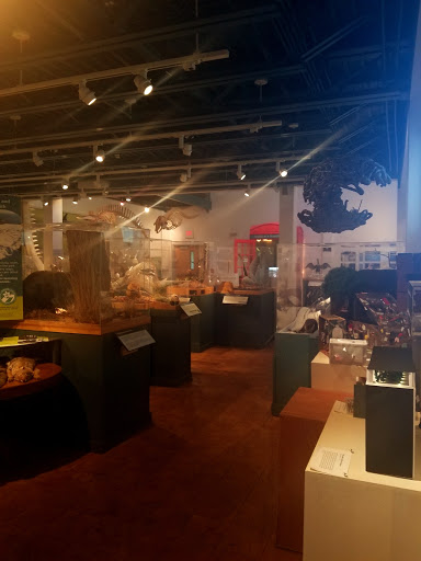 Natural History Museum «George B. Dorr Museum of Natural History», reviews and photos, 105 Eden St, Bar Harbor, ME 04609, USA