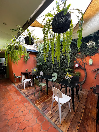 Unión Café - 6 Calle Oriente # 6 Antigua Guatemala, 03001, Guatemala