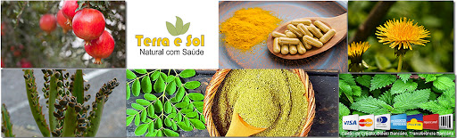 Logo da empresa - Terra e Sol