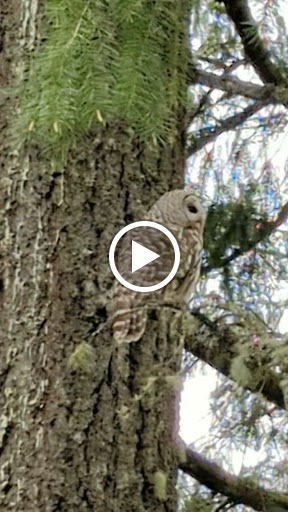 Park «Cooper Mountain Nature Park», reviews and photos, 18892 SW Kemmer Rd, Beaverton, OR 97007, USA