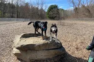 Phaiah's Dog Park image