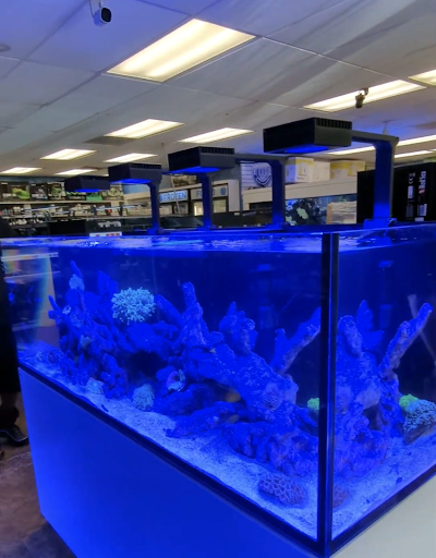 Tropical Fish Store «Premier Aquatics», reviews and photos, 1801 Roswell Rd, Marietta, GA 30062, USA