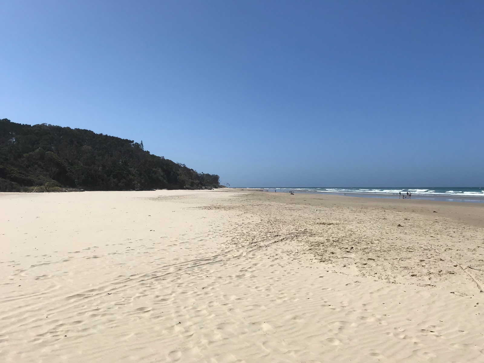 Foto de Woolgoolga Beach - lugar popular entre os apreciadores de relaxamento