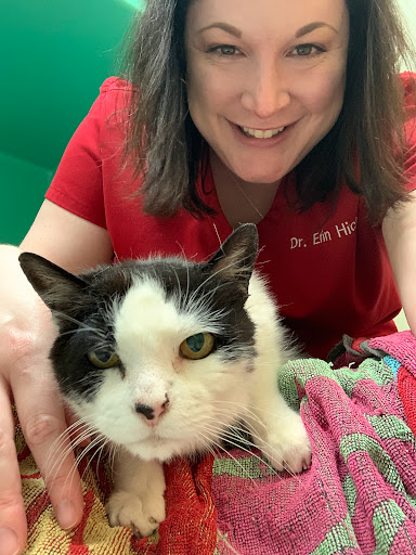 Whisker Wellness Center image