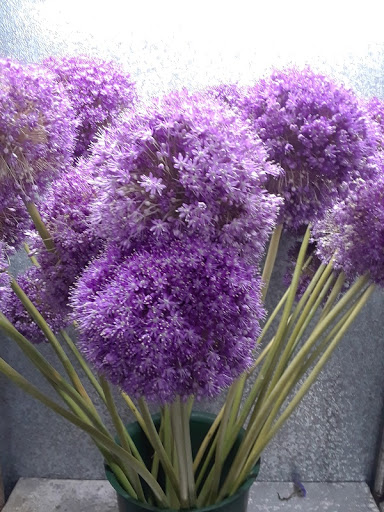 Florist «Skyway Creations», reviews and photos, 1407 S 8th St, Colorado Springs, CO 80905, USA