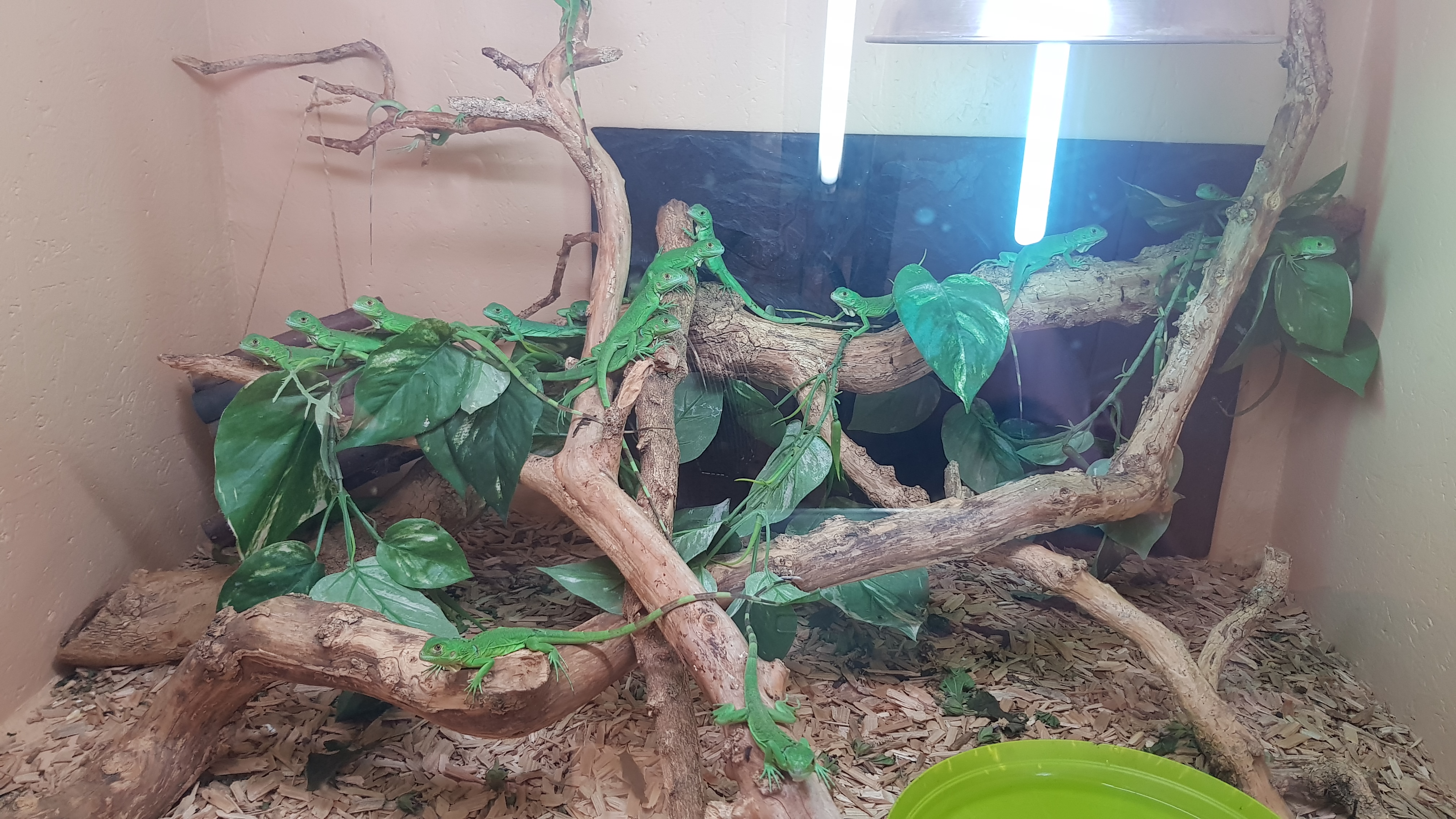 Photo n° 7 de l'avis de Jimy.r fait le 04/09/2019 à 07:35