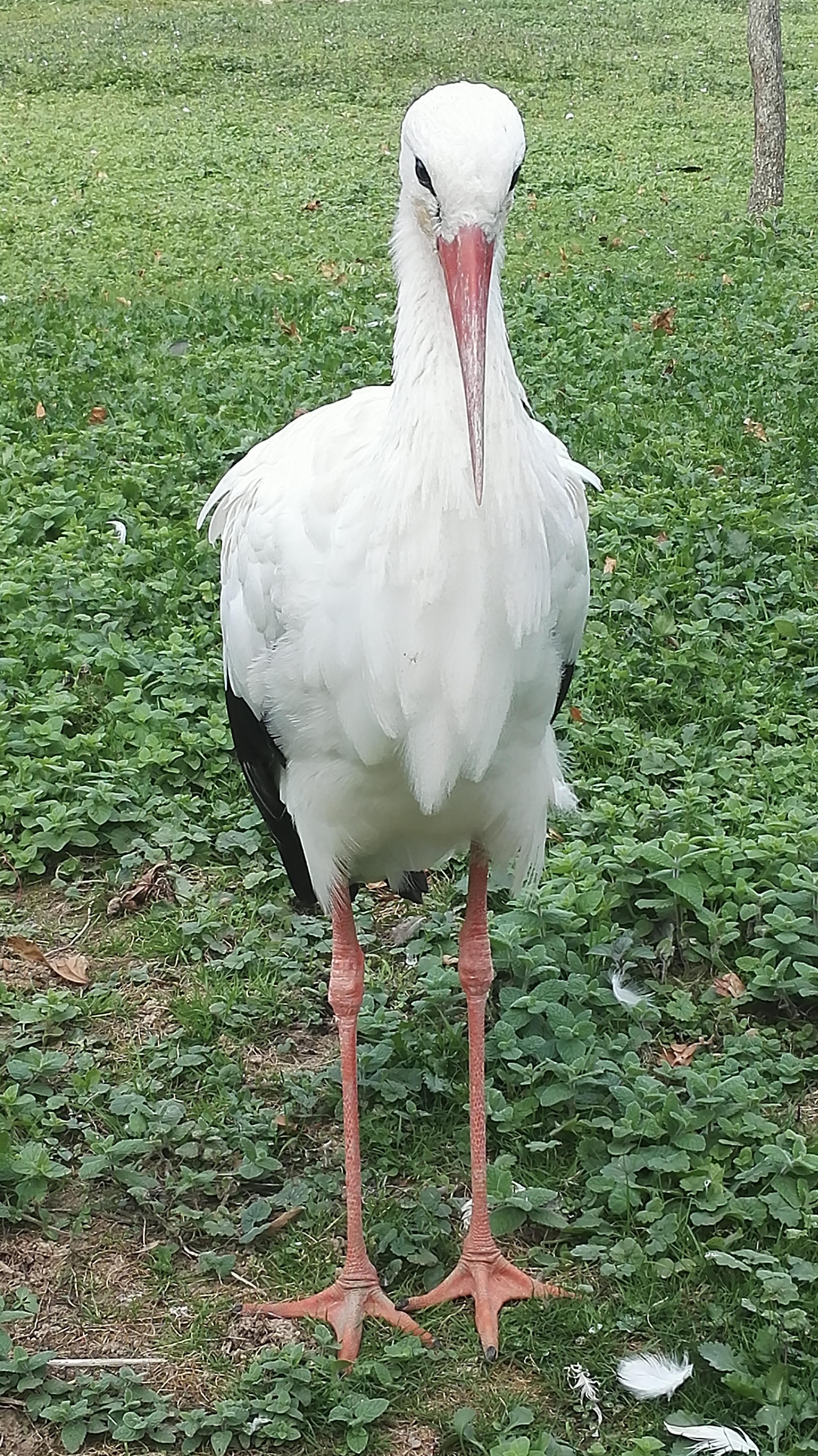 Photo n° 9 de l'avis de laurent.e fait le 24/09/2018 à 16:59