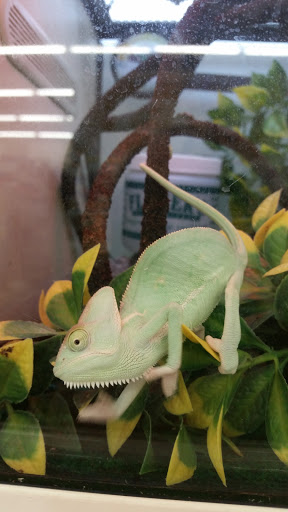 Pet Supply Store «Pet Supplies Plus», reviews and photos, 3060 N Lewis Ave, Waukegan, IL 60087, USA