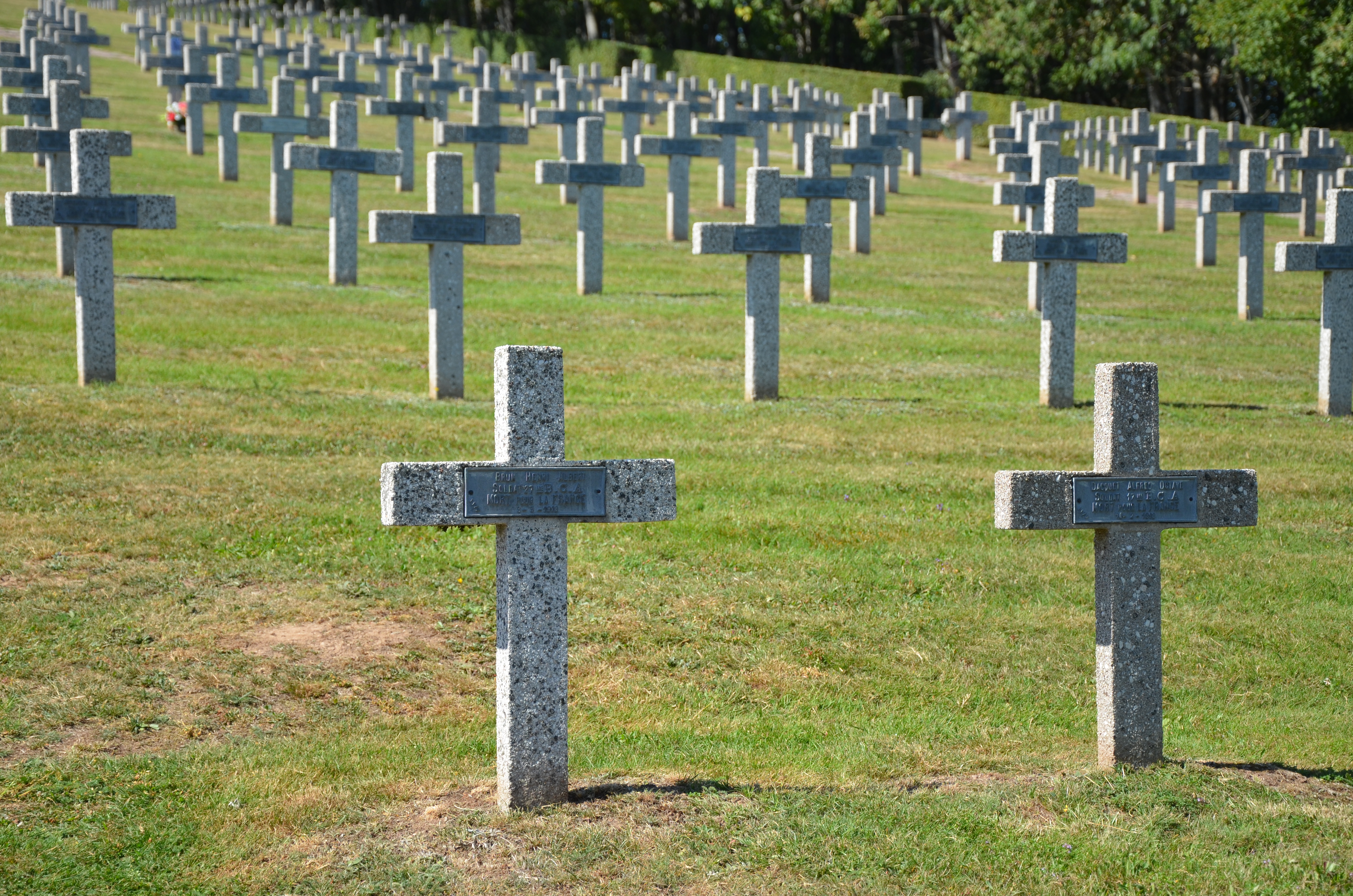 Photo n° 2 de l'avis de Ralf. fait le 16/09/2023 à 17:04