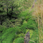 Photo n°6 de l'avis de Bert.c fait le 04/10/2022 à 15:24 sur le  Arberseehaus à Bayerisch Eisenstein