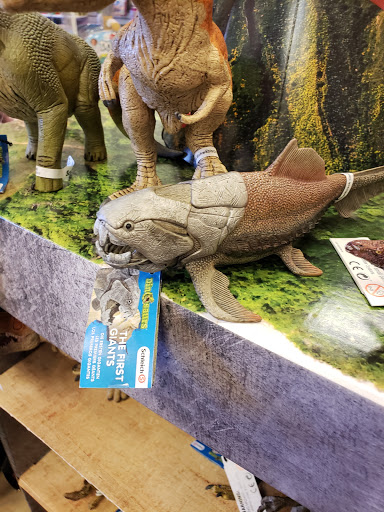 Toy Store «Timbuk Toys Highlands Ranch», reviews and photos, 9315 Dorchester St #107, Highlands Ranch, CO 80129, USA