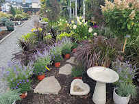 Central Nurseries Inc - Photo 2 - Car repair in Johnston, RI, Providence