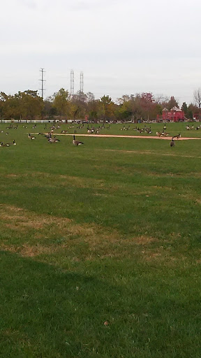 Memorial Park «Alvin P. Williams Memorial Park», reviews and photos, Port Reading Ave, Sewaren, NJ 07077, USA