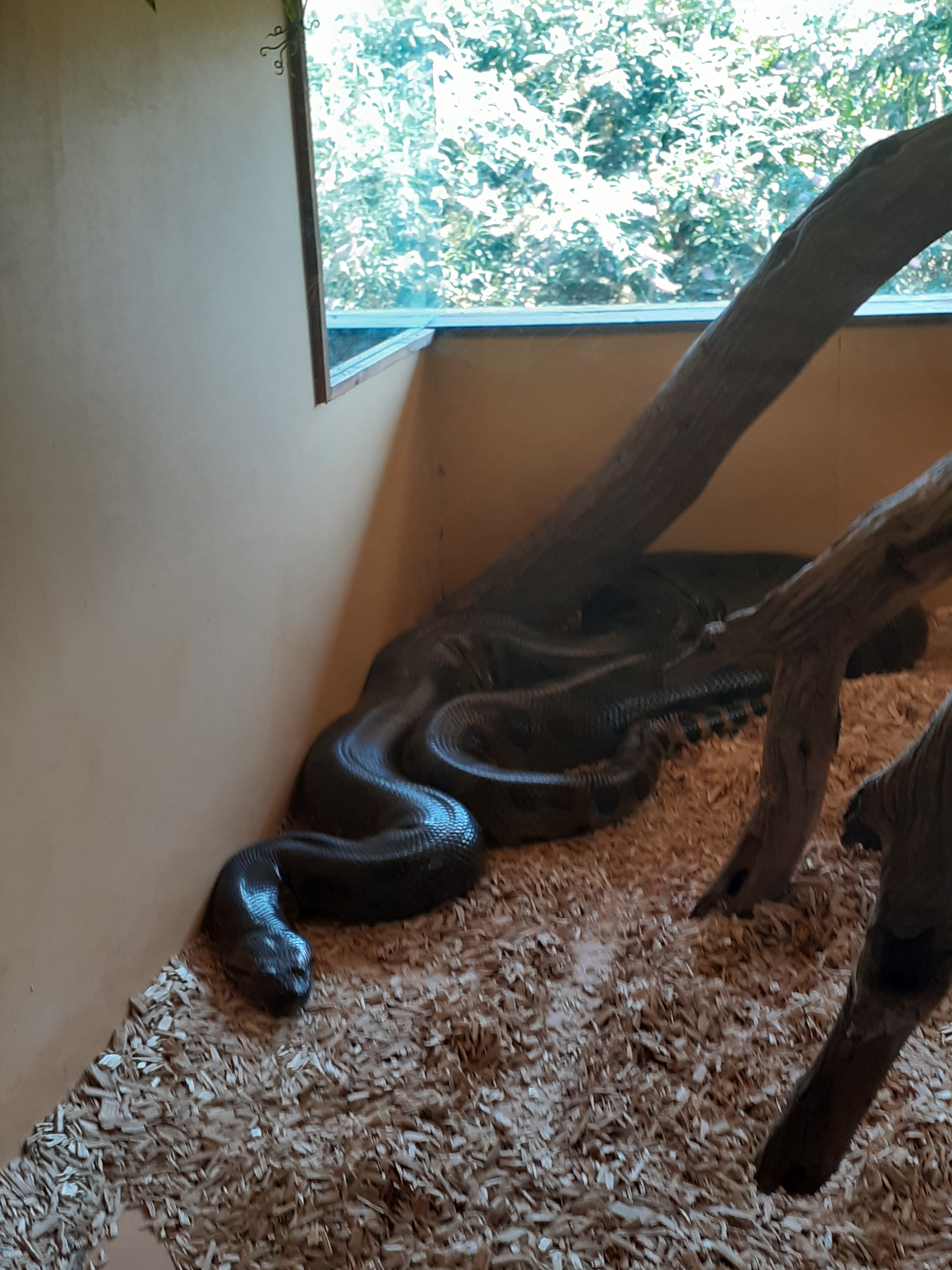 Photo n° 11 de l'avis de valjeux. fait le 26/07/2022 à 11:30