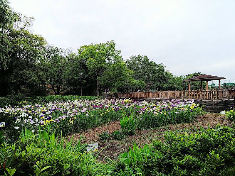 三崎水辺公園