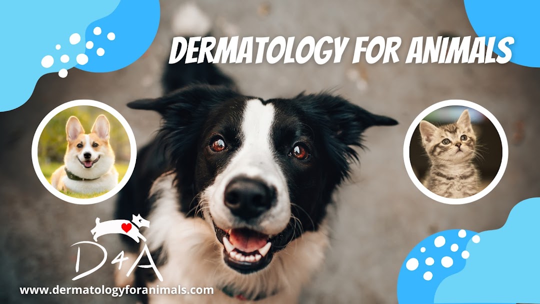 Dermatology for Animals - Akron