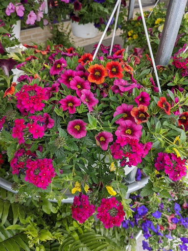 Grocery Store «Sunnyway Foods Market», reviews and photos, 212 N Antrim Way, Greencastle, PA 17225, USA