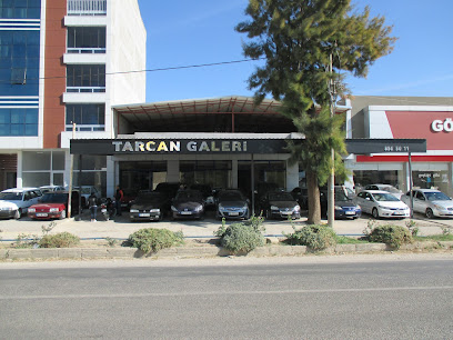 Tarcan Galeri