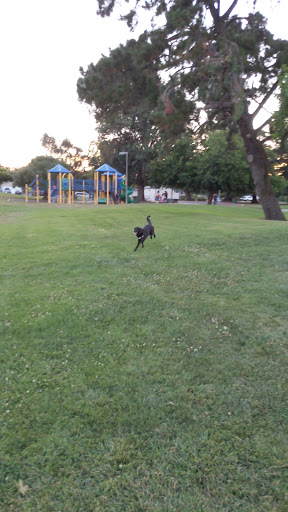 Park «John Mise Park», reviews and photos, 594 Park Meadow Dr, San Jose, CA 95129, USA