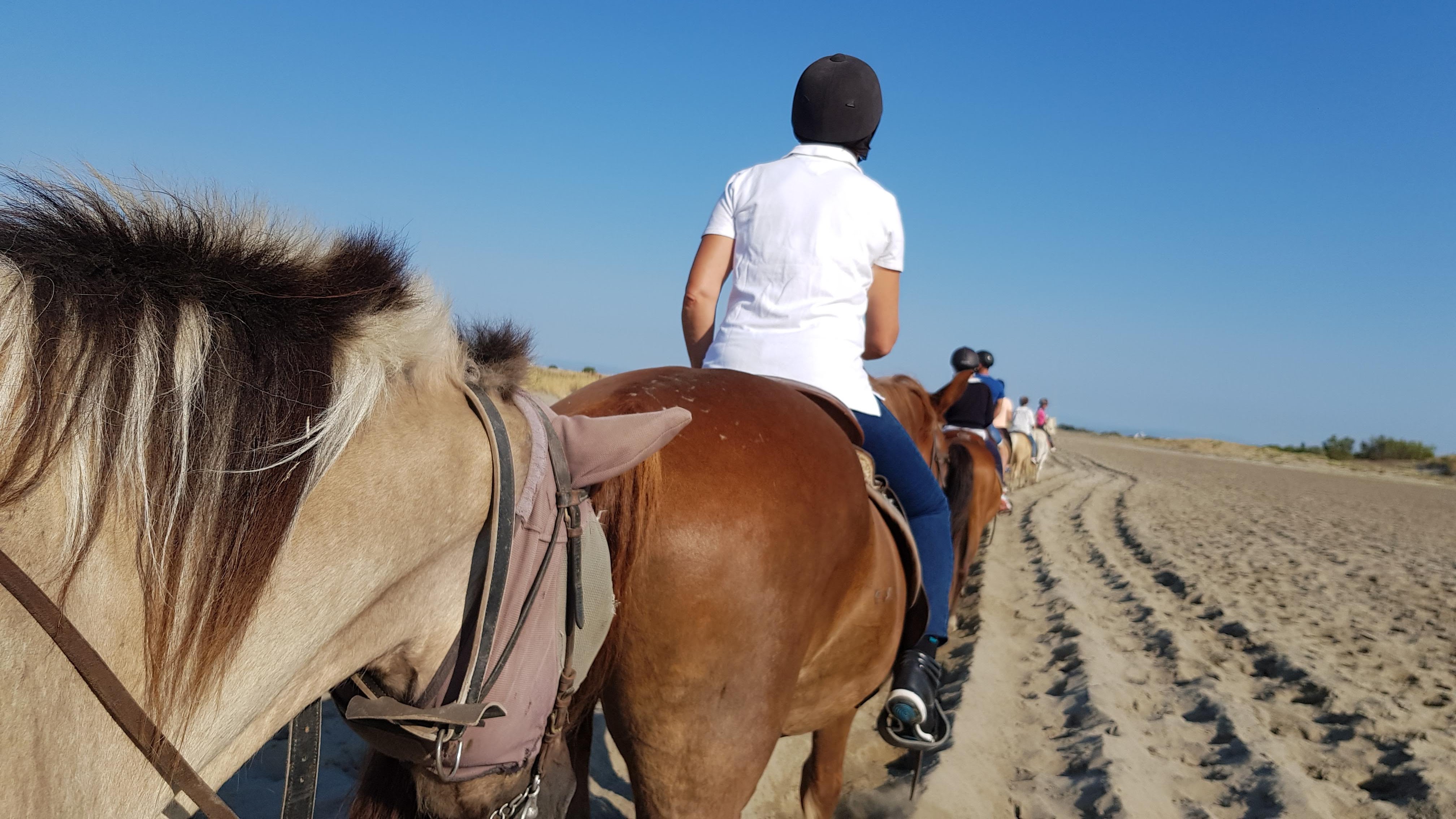 Photo n° 7 de l'avis de Franck. fait le 23/08/2018 à 12:53