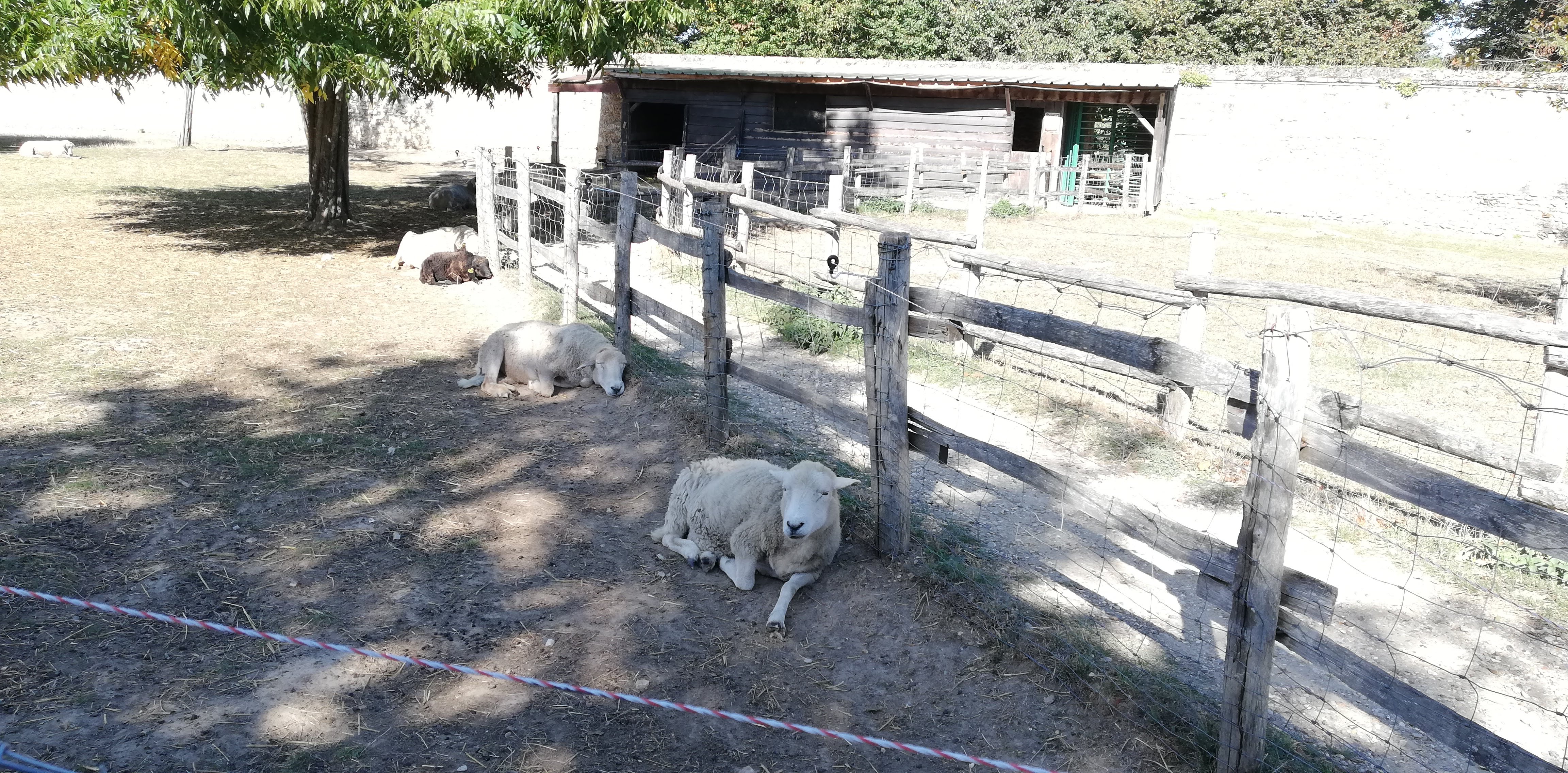 Photo n° 2 de l'avis de Angel. fait le 13/12/2018 à 19:12