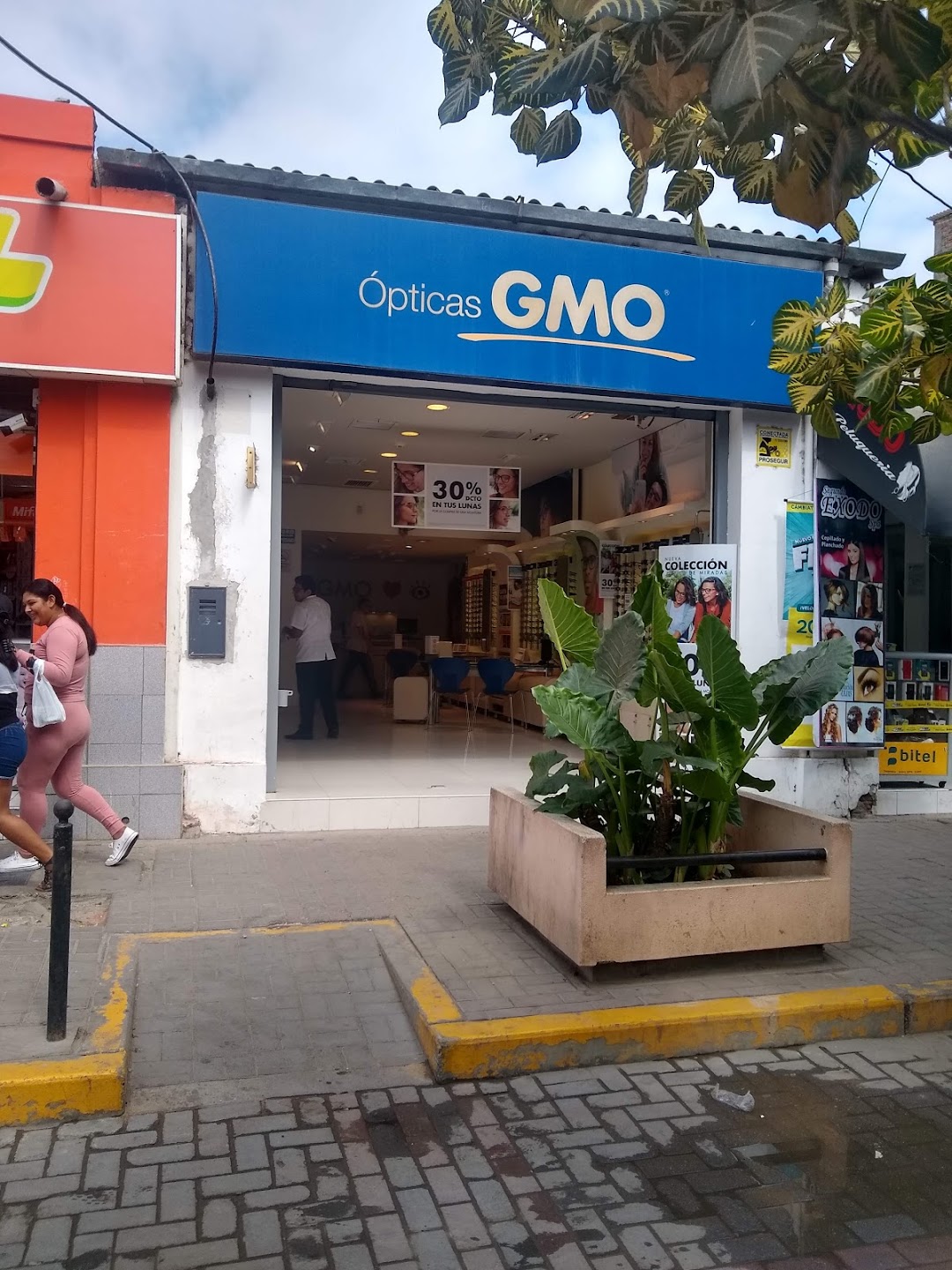 GMO Peru