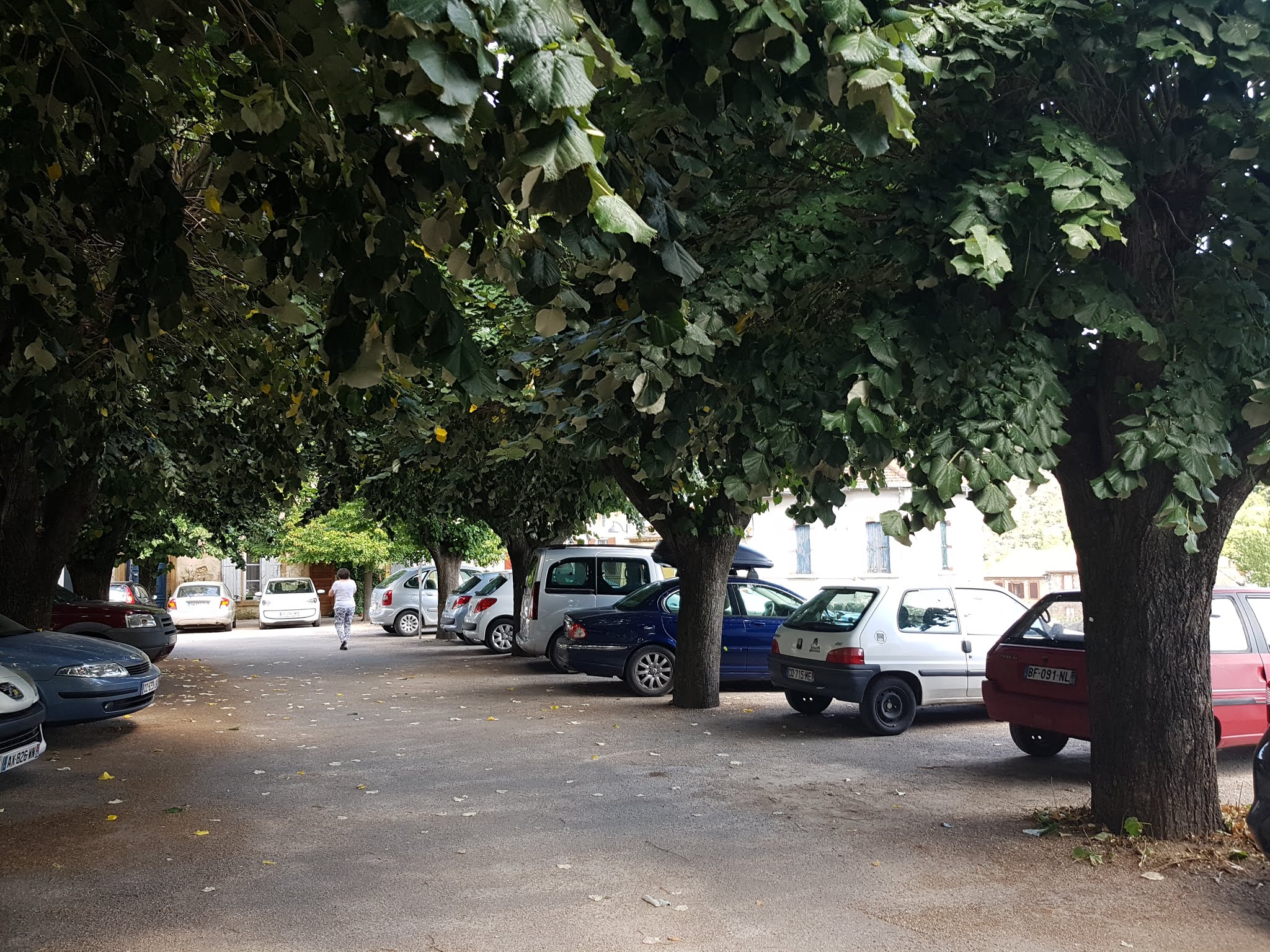 Photo n° 1 de l'avis de Canis.u fait le 02/09/2018 à 10:19
