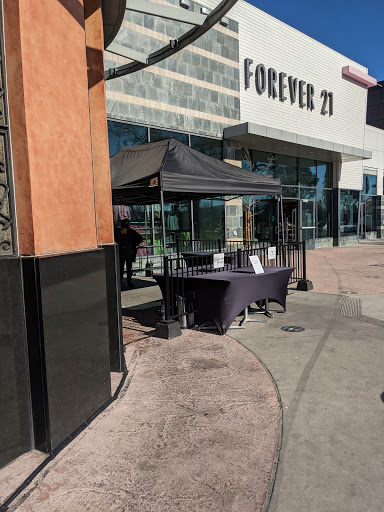 Restaurant «The Cheesecake Factory», reviews and photos, 925 Blossom Hill Rd, San Jose, CA 95123, USA