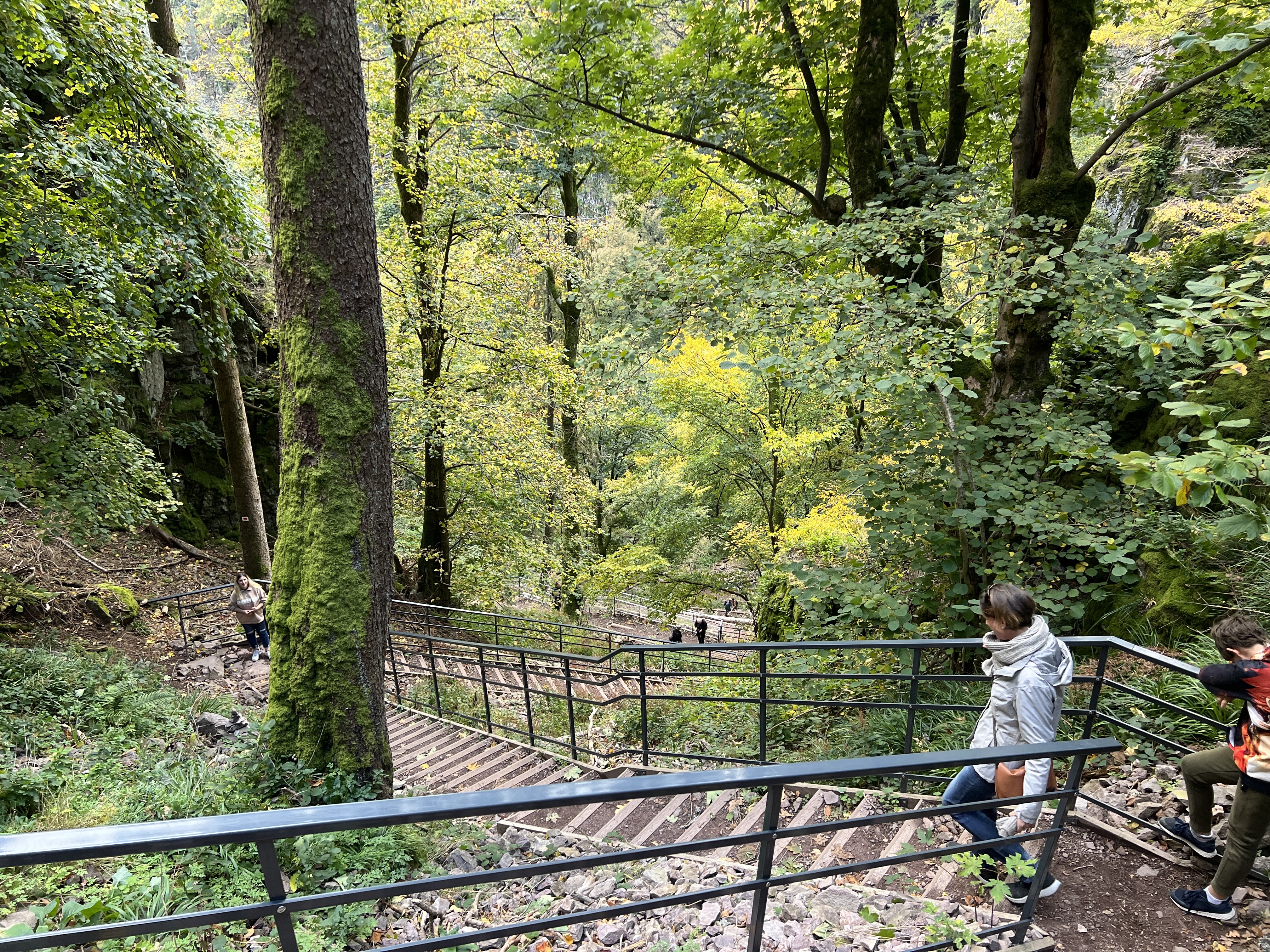 Photo n° 9 de l'avis de Ricardo.o fait le 23/10/2021 à 17:28