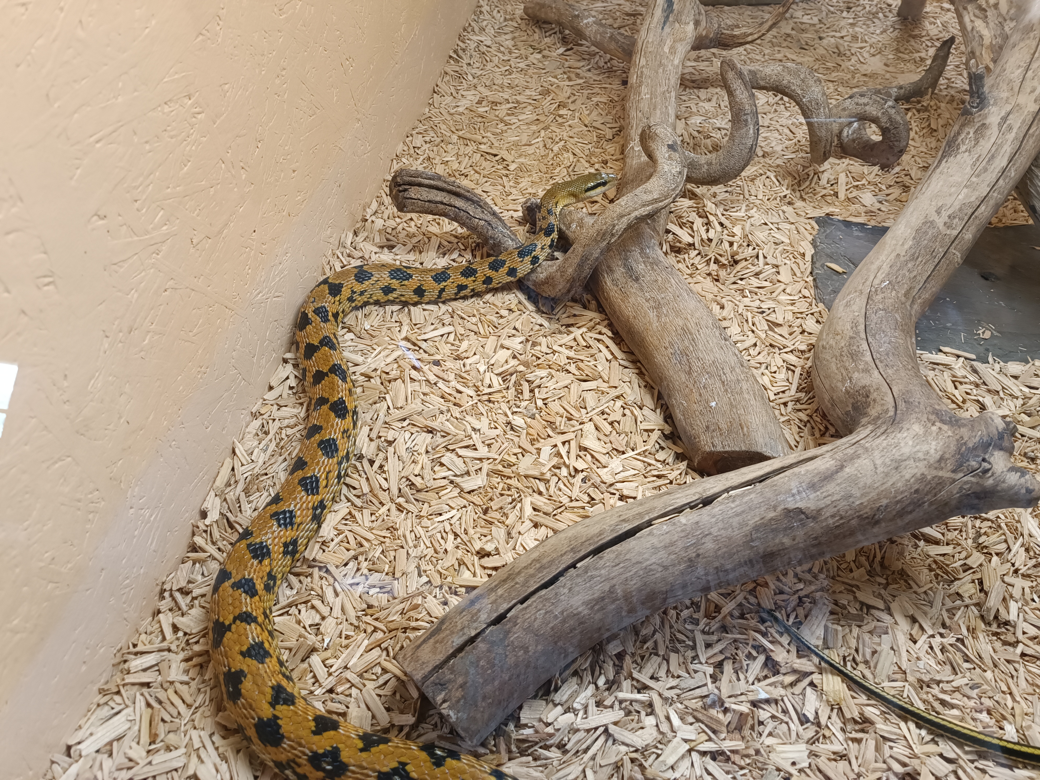 Photo n° 7 de l'avis de Sab.a fait le 12/04/2024 à 11:38