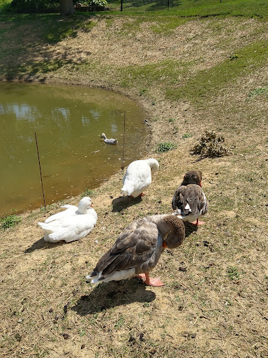 Zoo «StoryBook Hill», reviews and photos, 12201 N Cascade Rd, Dubuque, IA 52003, USA