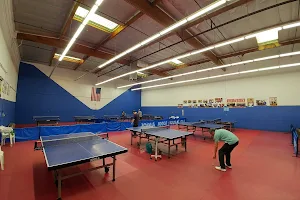 Grace Lin Table Tennis Club image