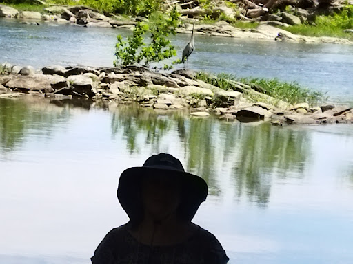 National Park «Great Falls Park, Virginia», reviews and photos, 9200 Old Dominion Dr, McLean, VA 22102, USA