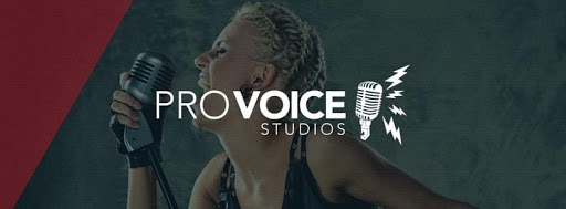 Pro Voice Studios