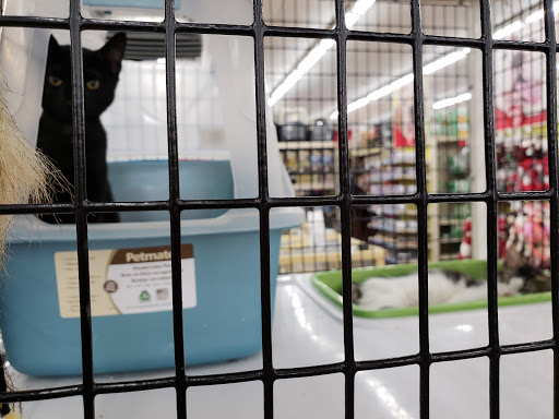 Pet Store «Pet Supermarket», reviews and photos, 9798 Glades Rd, Boca Raton, FL 33434, USA