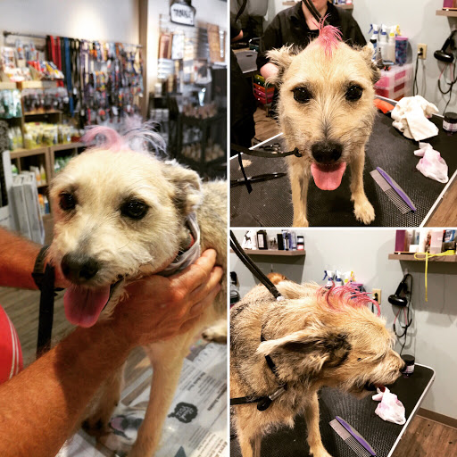 Pet Store «Whisker Bones Supply Co.», reviews and photos, 138 N Main St, Edwardsville, IL 62025, USA