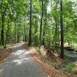 Green Creek Trail