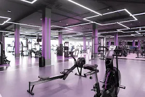 Workout Fitness Store image