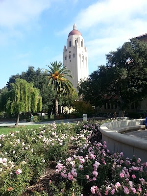 Stanford Clock Tower - photo 29
