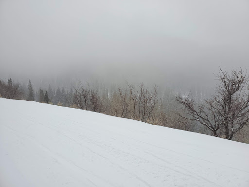 Outdoor Sports Store «The Gear Room», reviews and photos, 2258 Fort Union Blvd, Cottonwood Heights, UT 84121, USA