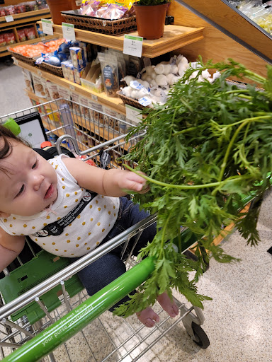 Supermarket «Publix Super Market at Lake Mary Collection», reviews and photos, 4195 W Lake Mary Blvd, Lake Mary, FL 32746, USA