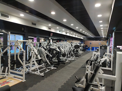 Extreme Gym Fitness Center - Venizelosova 21, Beograd 110000, Serbia
