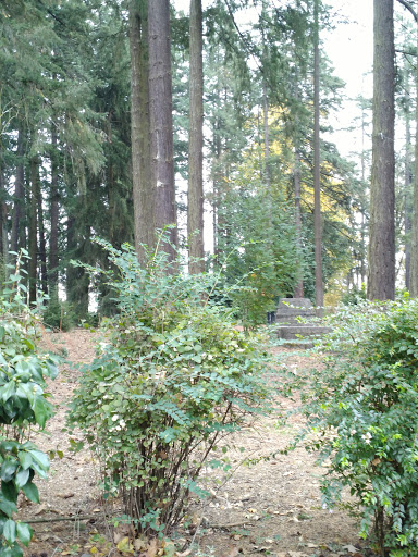 Recreation Center «Shute Park Aquatic & Recreation Center», reviews and photos, 953 SE Maple St, Hillsboro, OR 97123, USA