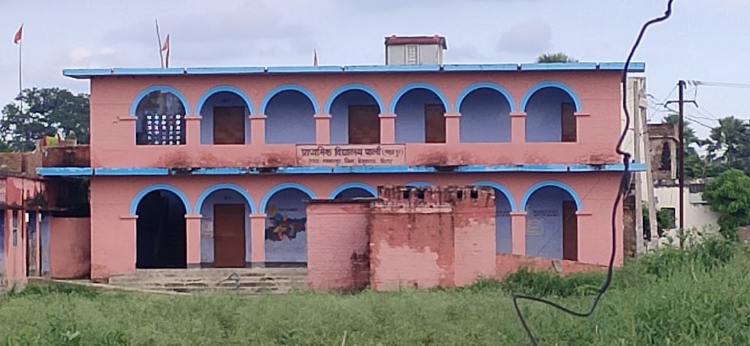 Primary School, Palidih