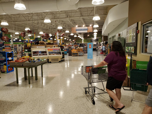 Supermarket «Publix Super Market at New Tampa Center», reviews and photos, 19034 Bruce B. Downs Boulevard, Tampa, FL 33647, USA