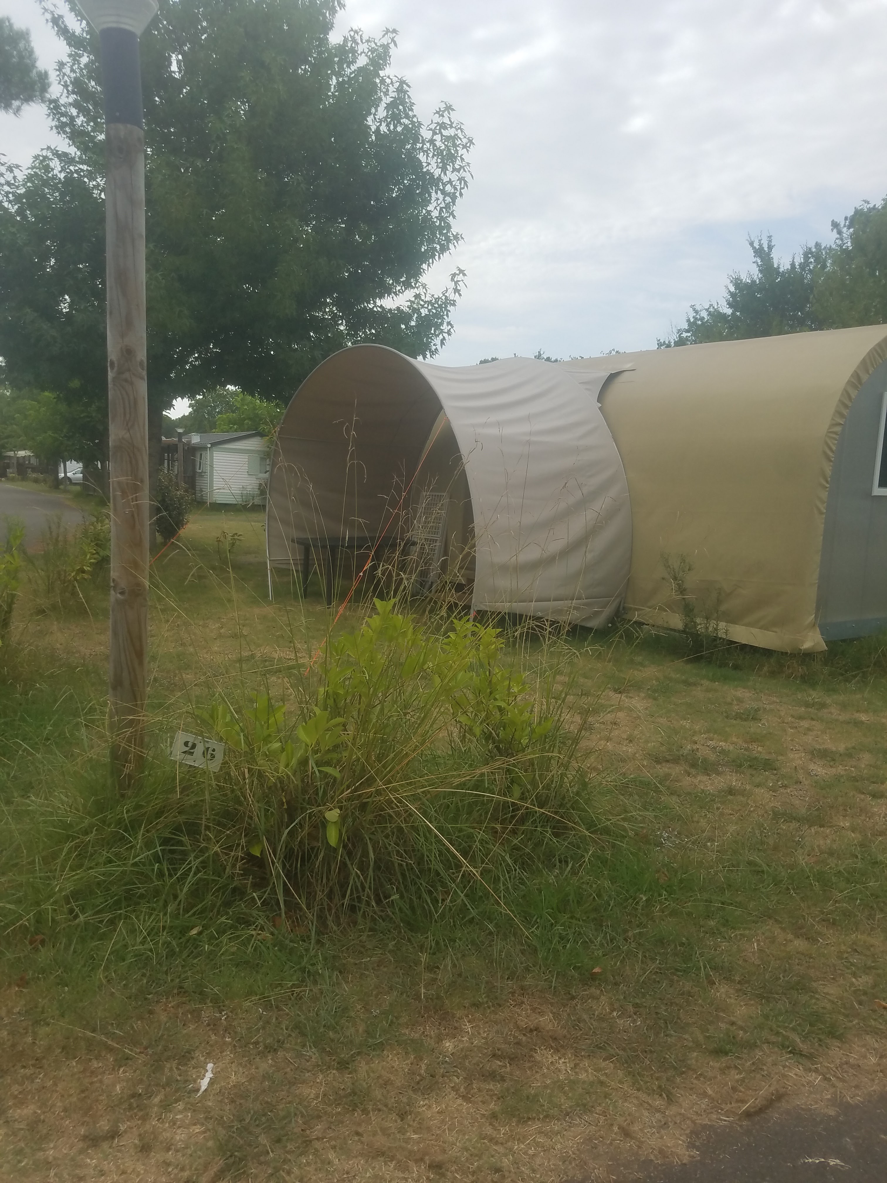 Photo n° 5 de l'avis de gimenez. fait le 08/08/2020 à 20:53