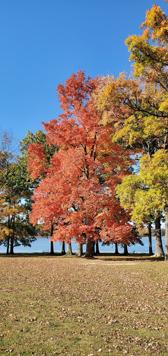 Tourist Attraction «West Branch State Park Beach», reviews and photos, Esworthy Rd, Ravenna, OH 44266, USA